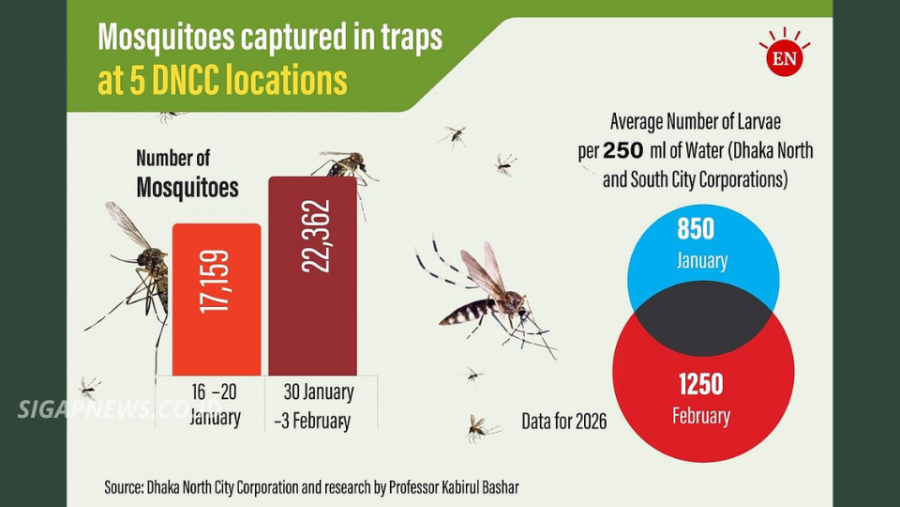 Dengue Surge Hits Bangladesh as Cases Reach 65,499