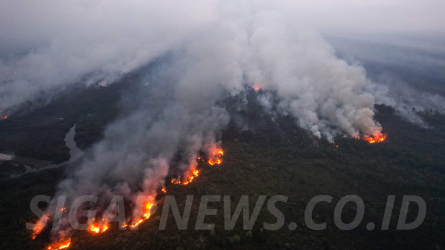 Indonesia Wildfire Emissions Become World’s Highest