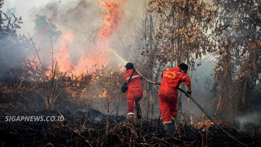 Indonesia Wildfire Threat Persists Despite Drop in Hotspots