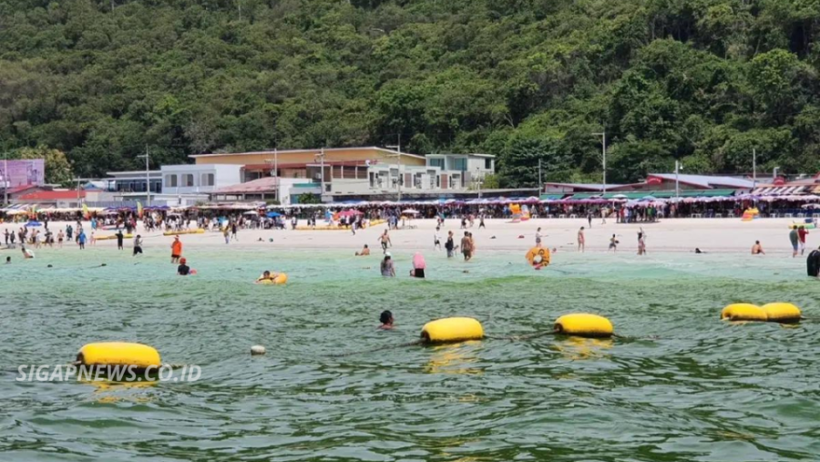 Thailand’s Sea Suddenly Turns Green as Plankton Bloom Disrupts Tourism