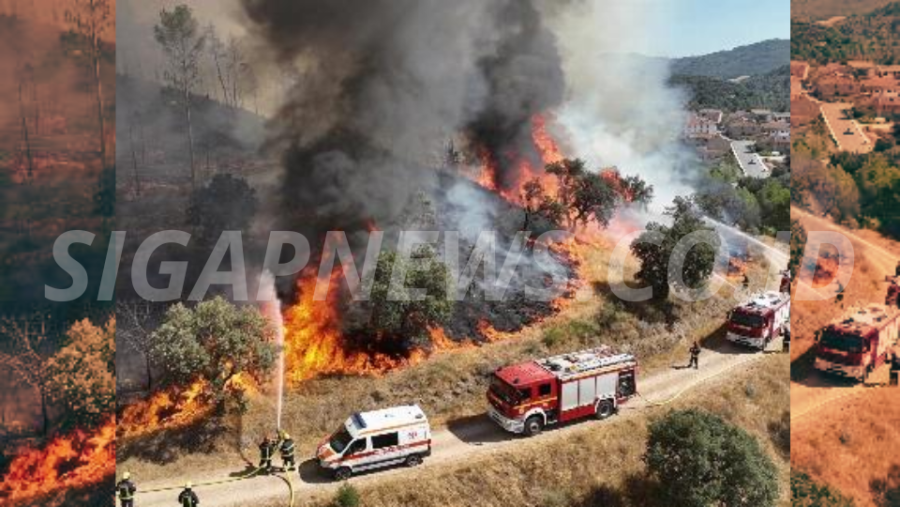 Wildfires Force Mass Evacuations Across Europe