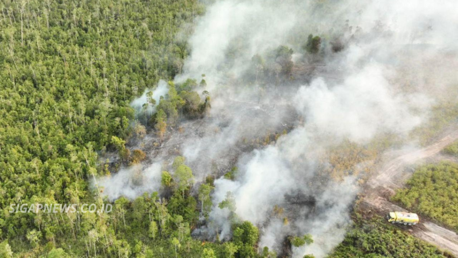 Wildfires Near Indonesia’s New Capital as East Kalimantan Fires Expand