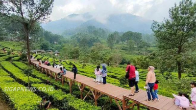arab-tourists-love-puncak-but-indonesia-has-more-hidden-paradises